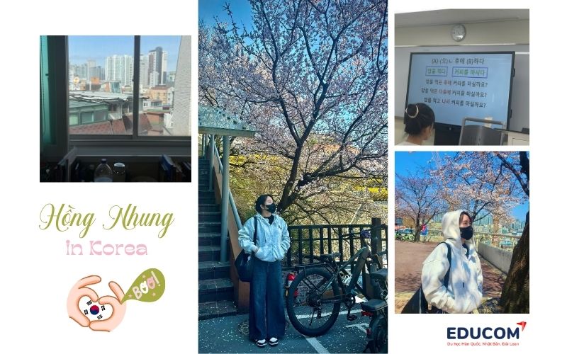 du học thạc sĩ e-visa