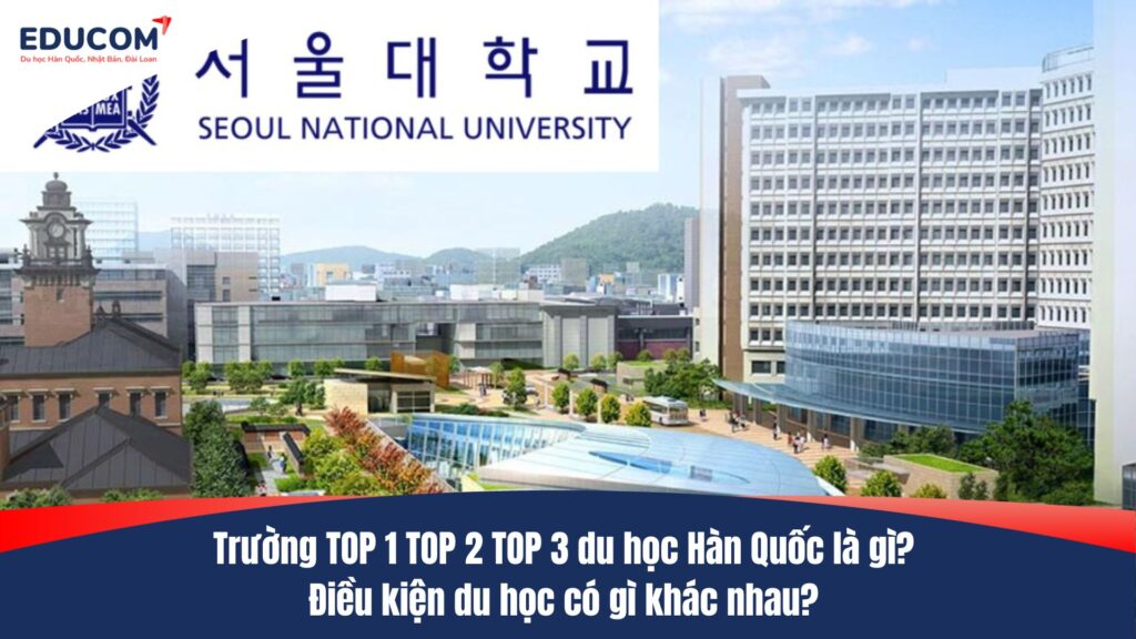 Trường TOP 1 TOP 2 TOP 3 du học Hàn Quốc là gì? Điều kiện du học có gì khác nhau?