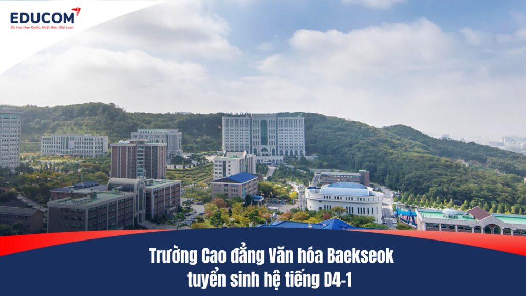 Trường Cao đẳng Văn hóa Baekseok tuyển sinh hệ tiếng D4-1
