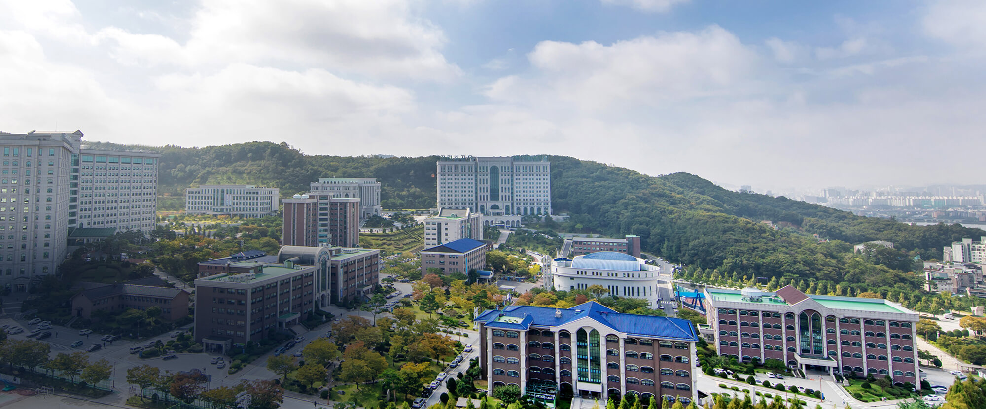 cao đăng văn hóa baekseok tuyển sinh hệ tiếng d4-1