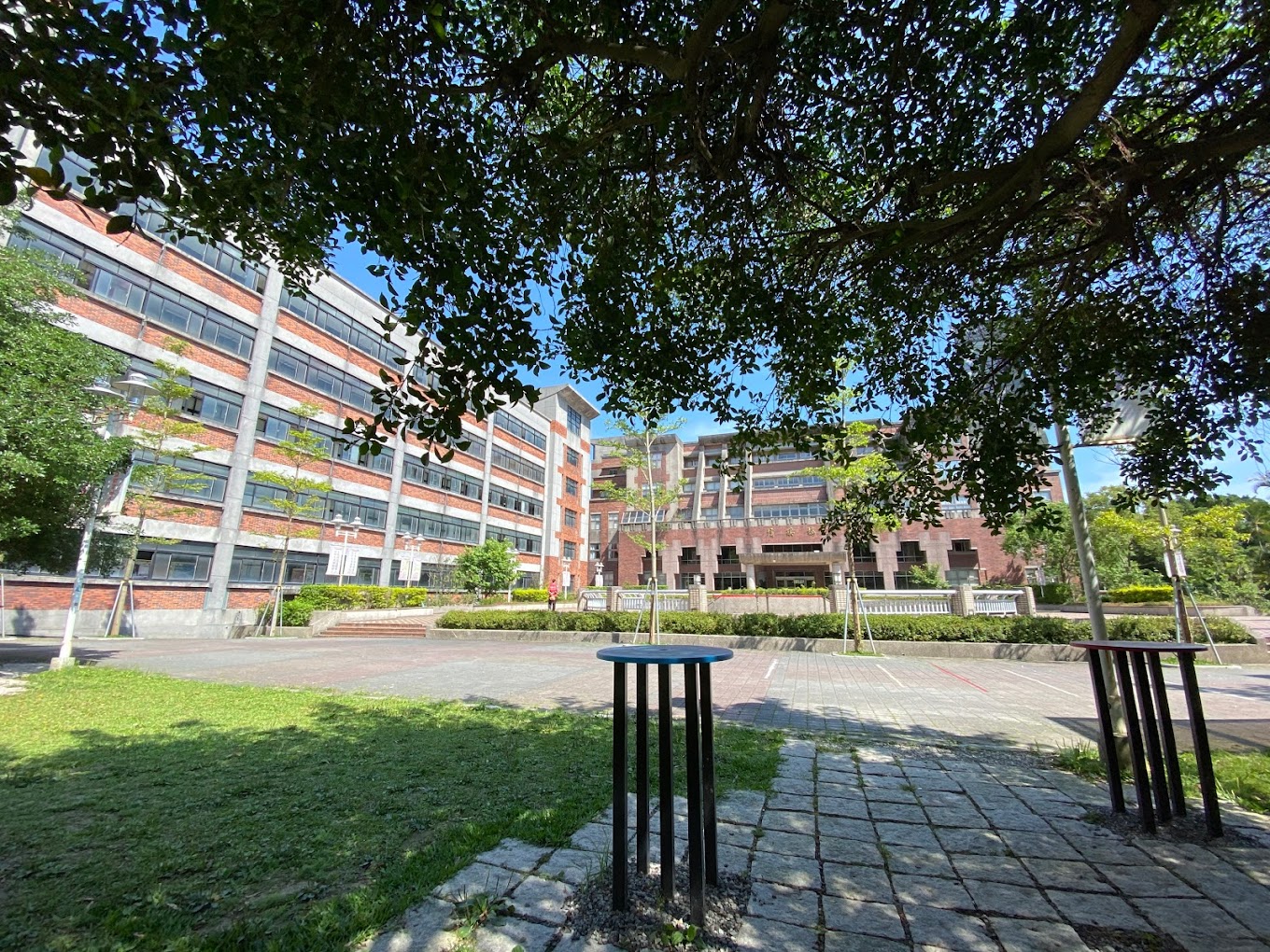 đại học hồng quốc đức lâm 