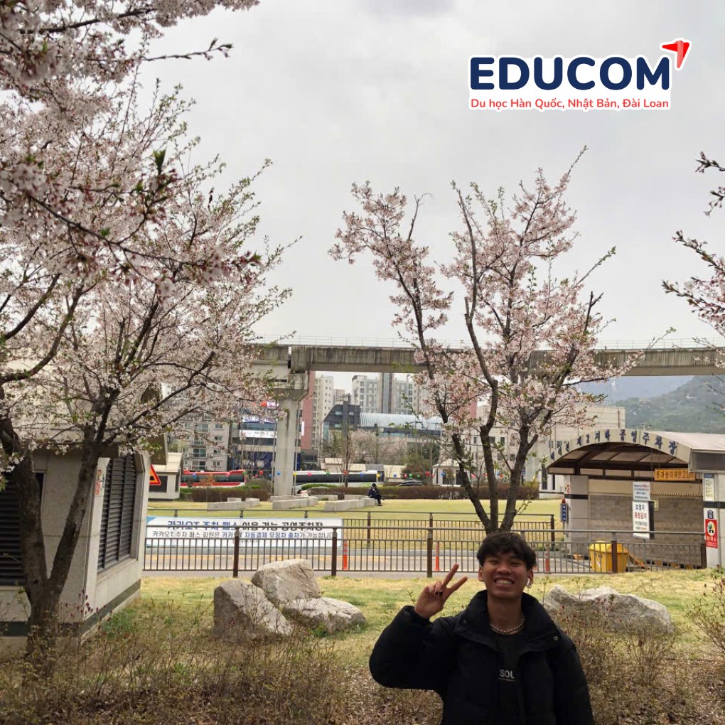 du học hàn quốc d4-1