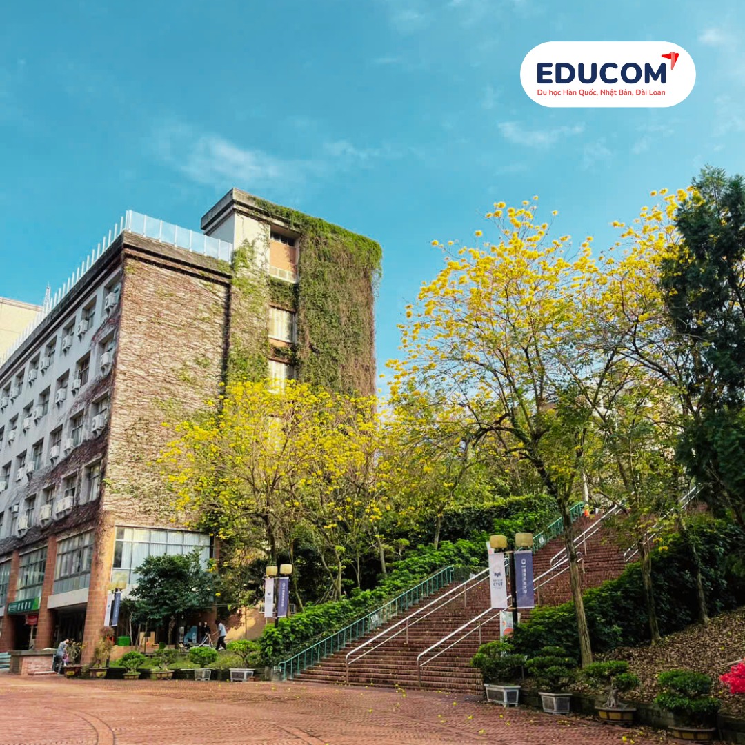 ưu nhược điểm hệ 1+4 