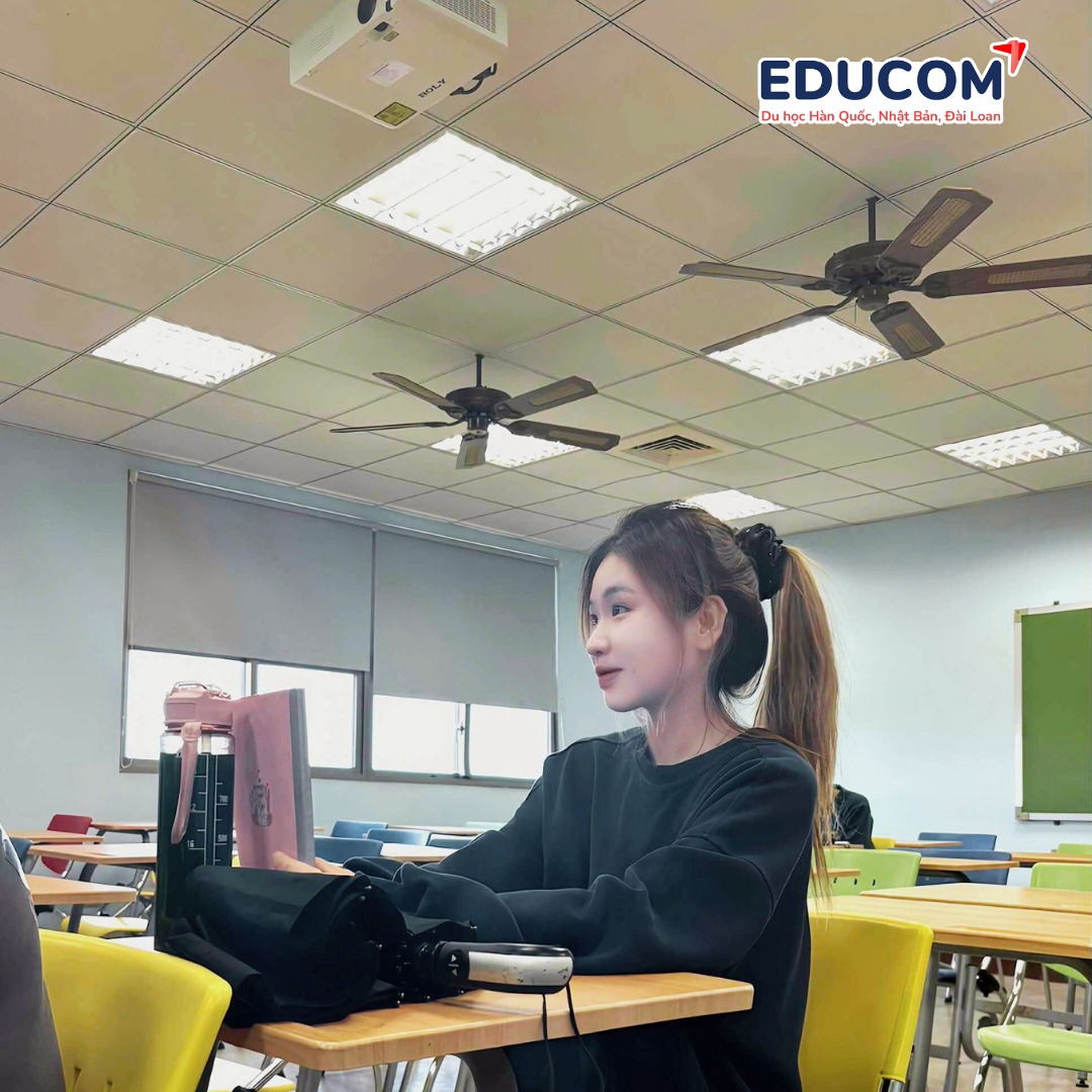 ưu nhược điểm hệ 1+4  