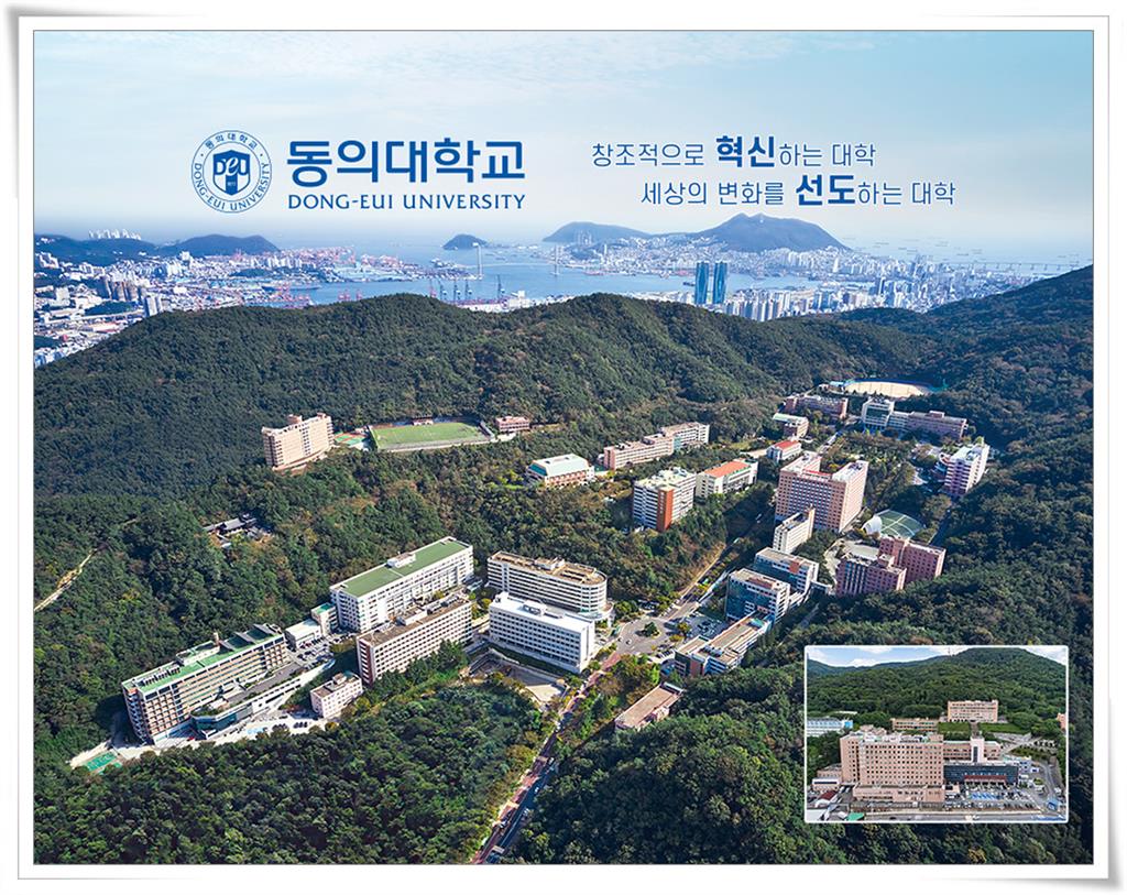 Đại học Dong-Eui