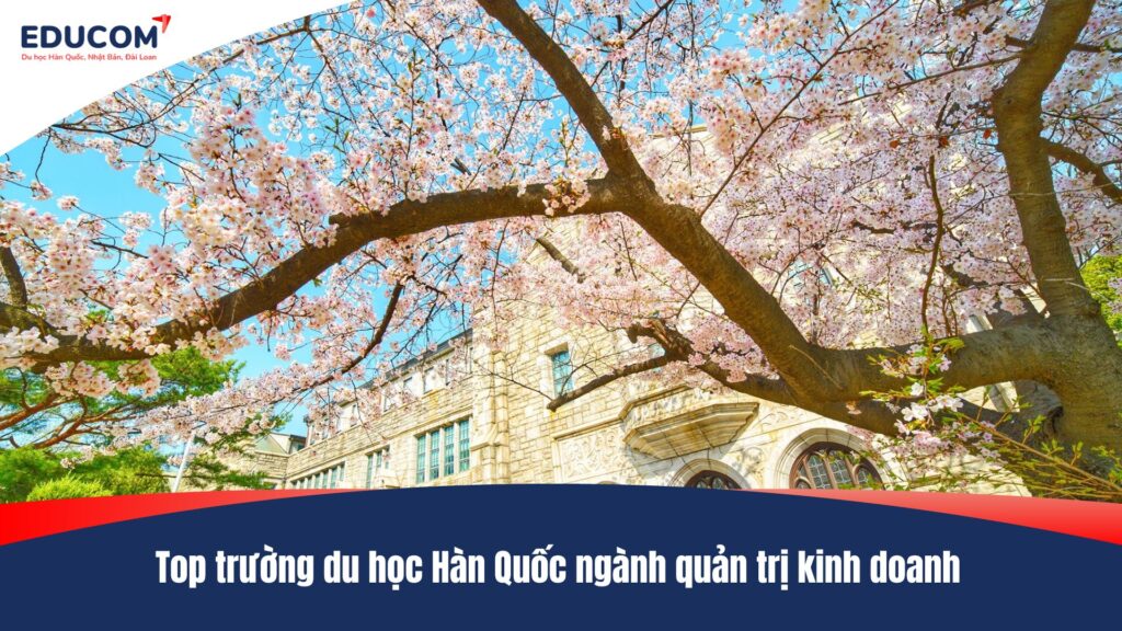 Top trường du học Hàn Quốc ngành quản trị kinh doanh