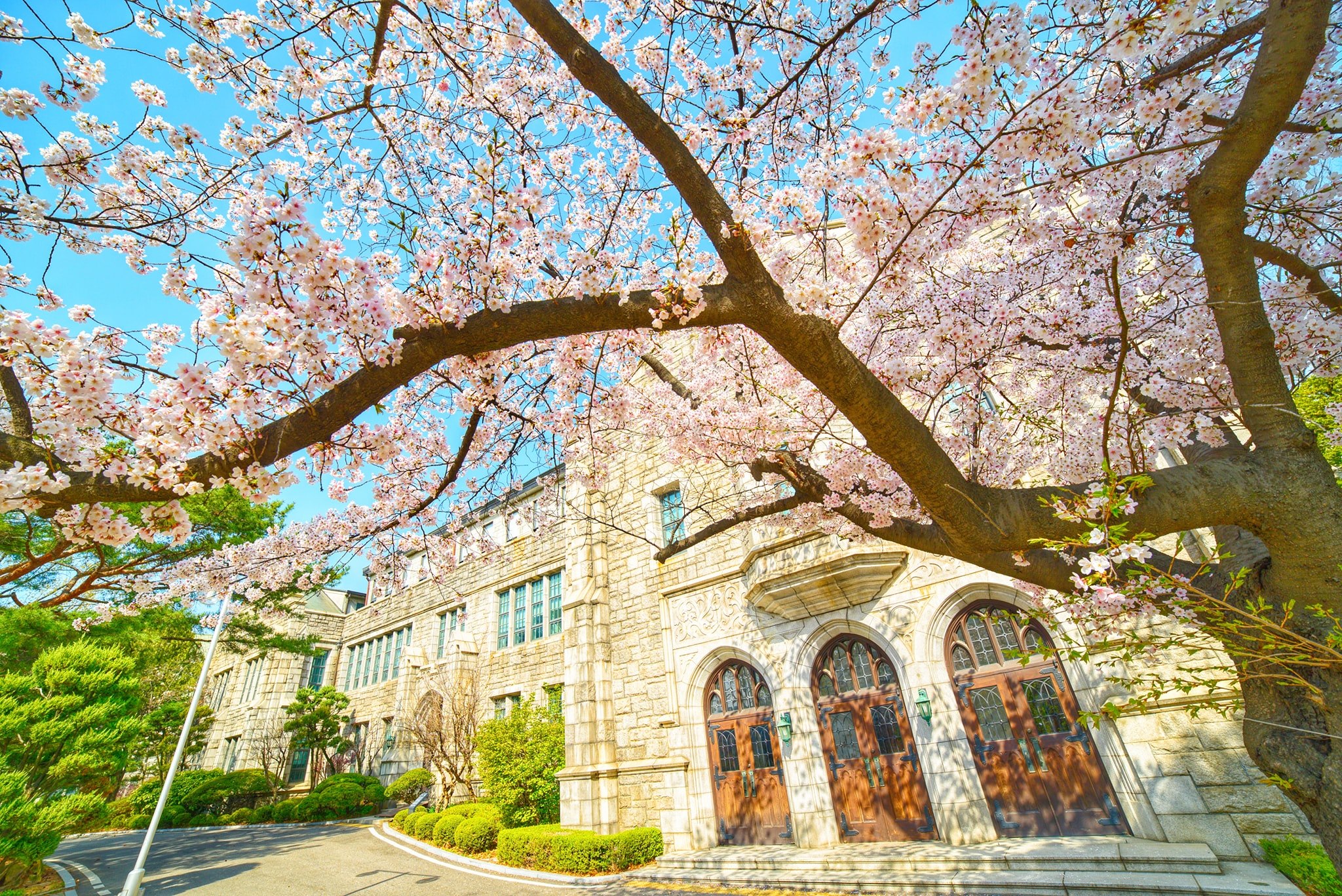 du học hàn quốc ngành quản trị kinh doanh