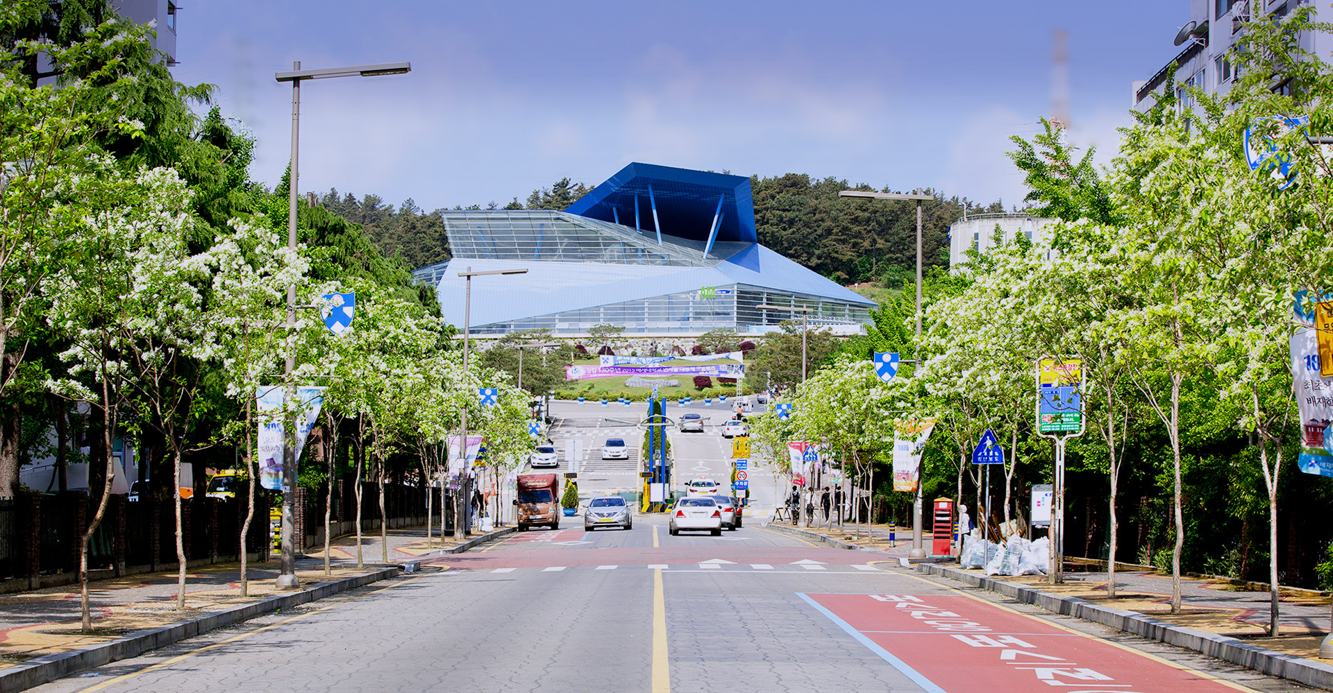 đại học paichai