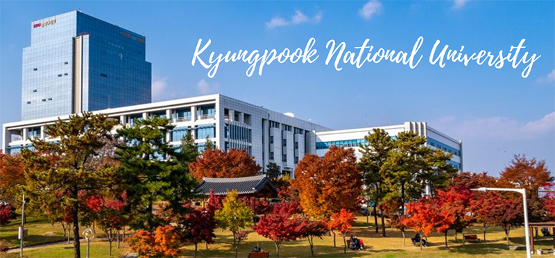 đại học quốc gia kyungpook